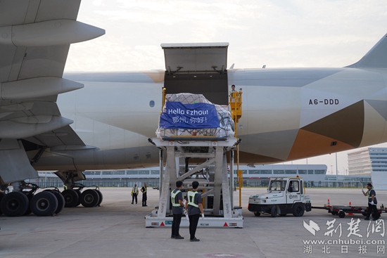 機(jī)務(wù)人員卸下貨物。金康 攝.jpeg