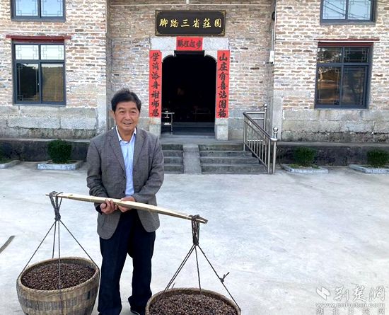 何道關(guān)與自己種的油茶果。黃錚 攝_副本.jpg.jpg