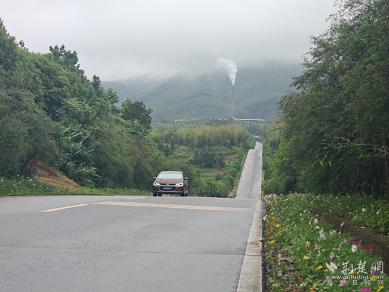網(wǎng)絡(luò)路旁繁華正盛.jpg